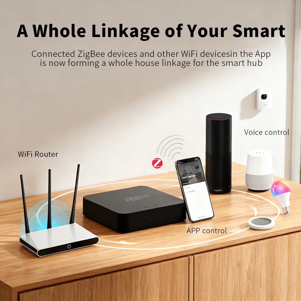 RSH SmartHub 2-in-1